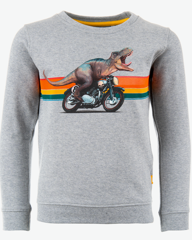 stones and bones sweater dino Impress VROOM grijs