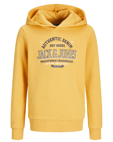 Hoodie / sweater - Jack & Jones