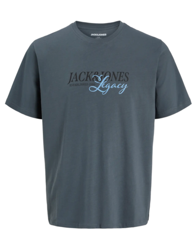 jack and jones junior t-shirt 12299660 grijs