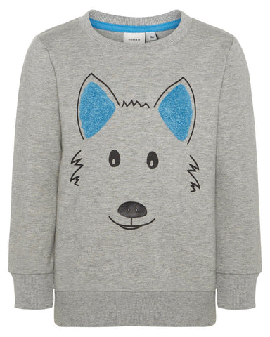 Sweater hond