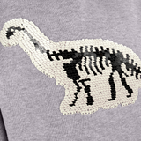 stones and bones sweater hoodie Florida BRONTOSAURUS grey 29702 jongen