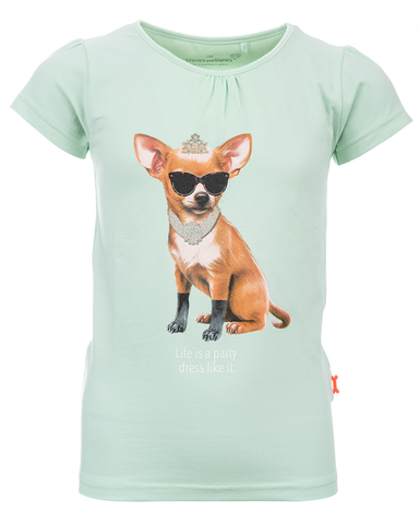 stones and bones t-shirt puppy meisje PARTY mint